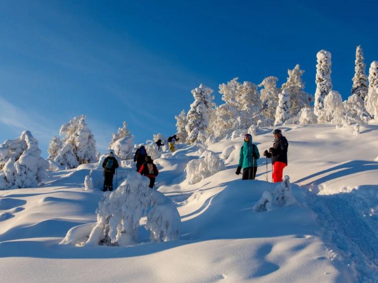 Singlereis Winterreis (HBO-WO) In Fins Lapland